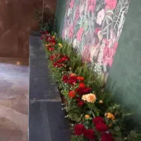 خدمات باغبانی گلکاری هرس کاری  تعویض خاک گلدان|خدمات باغبانی و درختکاری|کرج, فاز ۱ مهرشهر|دیوار