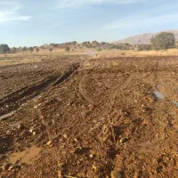 اجاره زمین کشاورزی