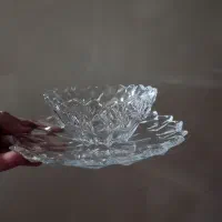 ظروف پذیرایی