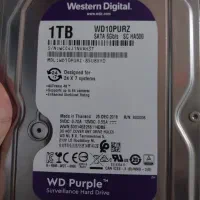 هارد western Digital