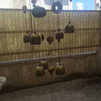 بادزنگ اصل با سکه ثروت اصل
