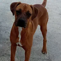 خاص و باوقار و اصیل