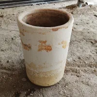 گلدون