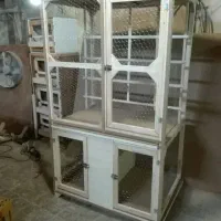 قفس چوبی|لوازم جانبی حیوانات|شیروان (خراسان), |دیوار