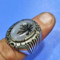 نقره شجر کهنه رکاب قوی