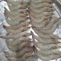 شاه میگوبوشهر|خوردنی و آشامیدنی|شیراز, گویم|دیوار