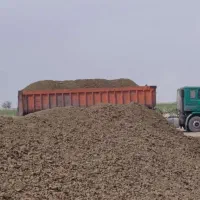 فروش کود گاوی