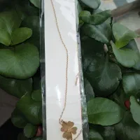 بدلیجات کوردی و مارک خارجی موجود|بدلیجات|مهاباد (آذربایجان غربی), |دیوار