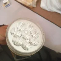 چراغ قوه