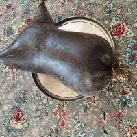 هیزه استفاده نشده|صنایع دستی و سایر لوازم تزئینی|سرپل ذهاب, |دیوار