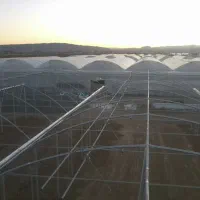 شرکت گلخانه سازان ژیانا آوین آژین زاگرس|خدمات باغبانی و درختکاری|سنندج, |دیوار