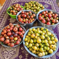 رب انار ترش کاملن بهداشتی
