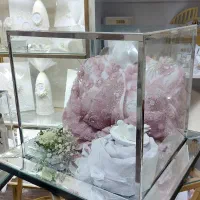 اجاره و فروش باکس های شیشه ای|صنایع دستی و سایر لوازم تزئینی|شیراز, معالیآباد|دیوار