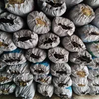 زغال کبابی و بسته بندی