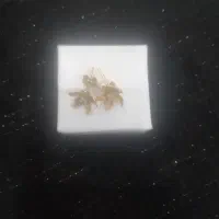 گوشواره میخی