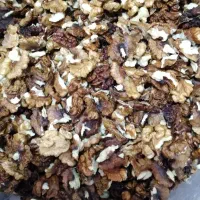 مغز گردو امسالی