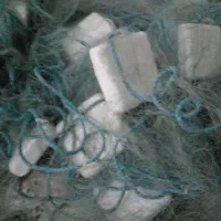 تورماهی گیری