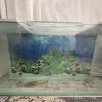 فروش آکواریوم