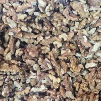 فروش ویژه گردو مغزه عمده