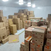 توزیع بستنی به قیمت کارخانه