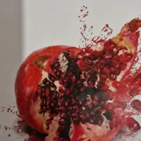 فیزیک و شیمی نهم درحد نو|کتاب و مجله آموزشی|سهند, |دیوار