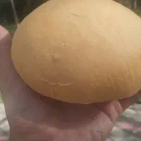 خلیفه تولید انواع و اقسام نان