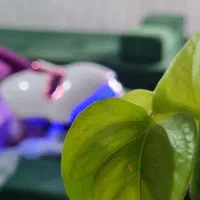 در یک جلسه از ترک های پاهات خداحافظی کن فقط با ۴۵۹|خدمات آرایشگری و زیبایی|رباط‌کریم, رباط‌کریم|دیوار