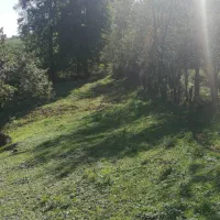 زمین مسکونی ۵۰۰متر|فروش زمین و ملک کلنگی|رشت, بازار|دیوار