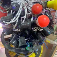 ریسه کنفی درجه یک|ریسه و چراغ تزئینی|تهران, لاله زار|دیوار