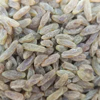 کشمش سبز کاشمری سفارشی اعلا|خوردنی و آشامیدنی|اصفهان, سودان|دیوار