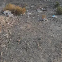 فروش زمین در روستای تیس