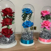 کارگر ساده خانم زیباشهر (همکار خانم)