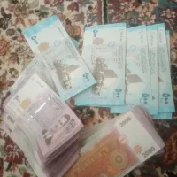 لیرسوریه کلکسیونی