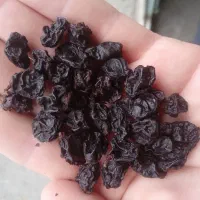 کشمش ، مویز انگور سیاه سردشت