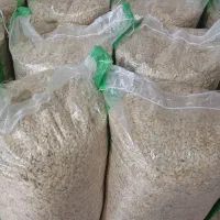 فروش تخم کدو گوشتی و فروش بذر تخم کدو