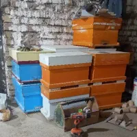 کندوی زنبور عسل