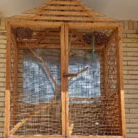 قفس چوبی