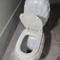 توالت فرنگی