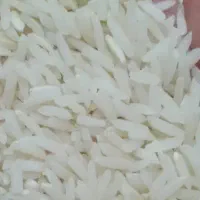 برنج هاشمی ( راتون یا شا بج) درجه یک