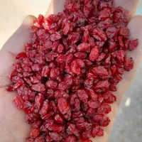 زرشک درجه یک امسالی وآب زرشک|خوردنی و آشامیدنی|نیشابور, شهرک فیروزه|دیوار