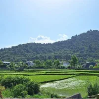 اجاره-روزانه-ویلا-بام-سبز