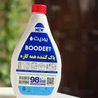شوینده همه کاره بودیت