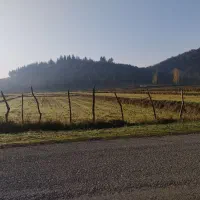 14000متر زمین مسکونی باغی بابر200متر لیسار تالش|فروش زمین و ملک کلنگی|لیسار, |دیوار