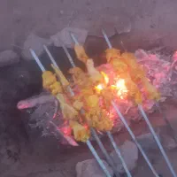 بره نر فروش فوری