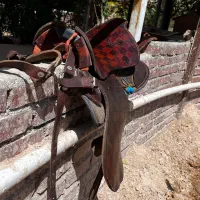 زین  نو و زیبا|اسب و تجهیزات اسب‌سواری|شهریار, اسکمان|دیوار