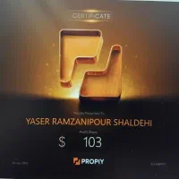 آموزش استراتژی واقعی فارکس استراتژی پاس شده پراپ|خدمات آموزشی|تهران, منیریه|دیوار