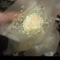 گل ابدی ماندگار|گل مصنوعی|تربت جام, المهدی|دیوار