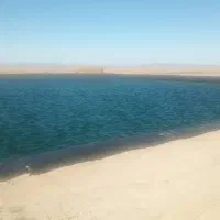 خرید و فروش زمین کشاورزی در استان قم وحومه|فروش دفتر صنعتی، کشاورزی، تجاری|قم, بکایی|دیوار