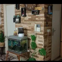 اپارتمان ۵۰ متری خوش نقشه|فروش آپارتمان|تهران, وحیدیه|دیوار