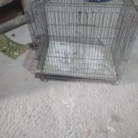 قفس